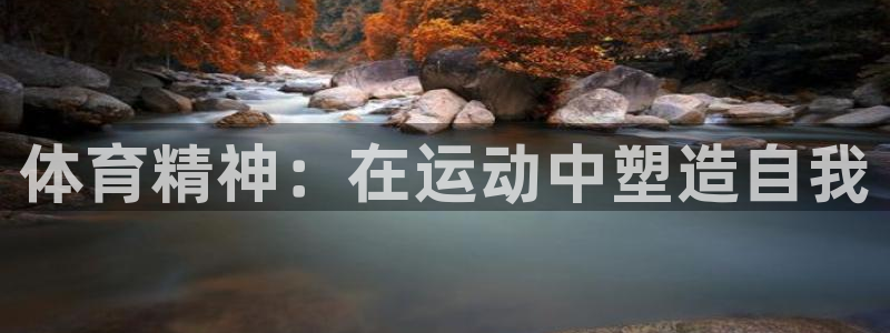 xc挖掘机是什么牌子：体育精神：在运动中塑造自我