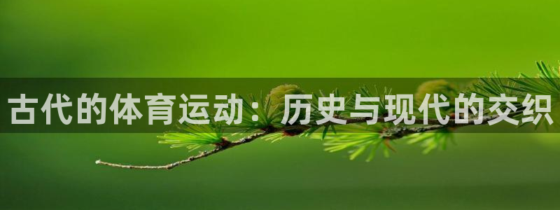 杏彩xc登录：古代的体育运动：历史与现代的交织