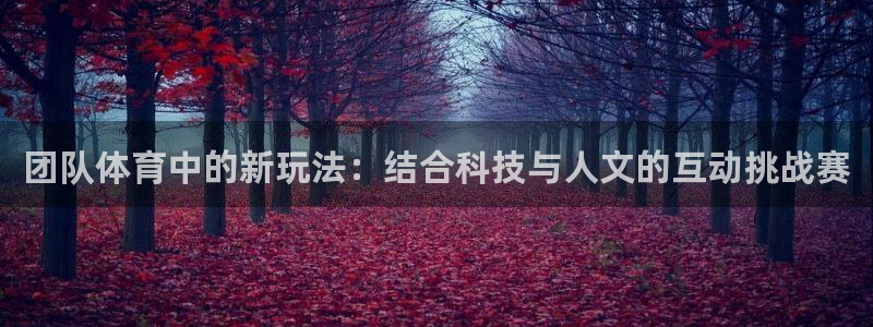 沃尔沃xc90多重：团队体育中的新玩法：结合科技与人文的互动挑战赛
