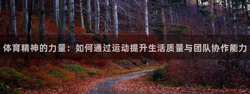 xc变红是什么意思：体育精神的力量：如何通过运动提升生活质量与团队协作能力