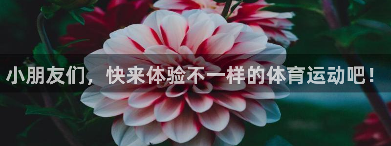 杏彩总代：小朋友们，快来体验不一样的体育运动吧！