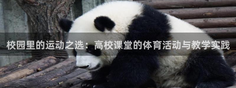 xc网络语言啥意思：校园里的运动之选：高校课堂的体育活动与教学实践