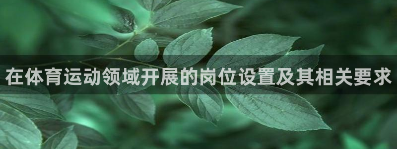 xc是什么网络流行语：在体育运动领域开展的岗位设置及其相关要求