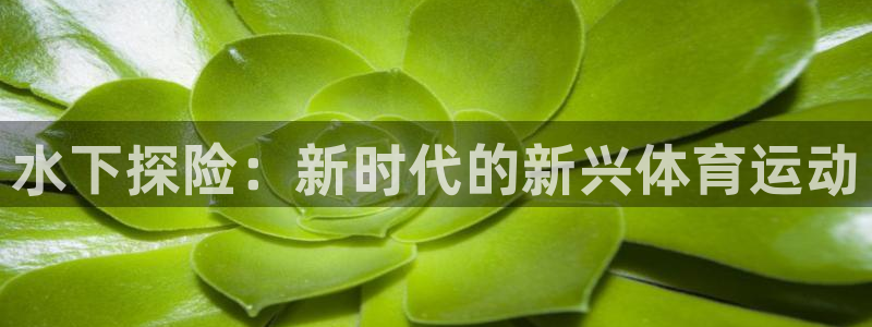杏彩xc体育凯捷平台注册：水下探险：新时代的新兴体育运动