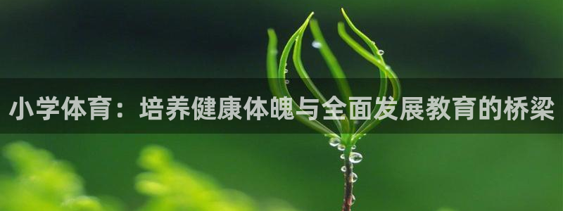 女的xc红了是什么意思：小学体育：培养健康体魄与全面发展教育的桥梁