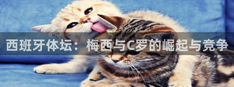 xc18：西班牙体坛：梅西与C罗的崛起与竞争