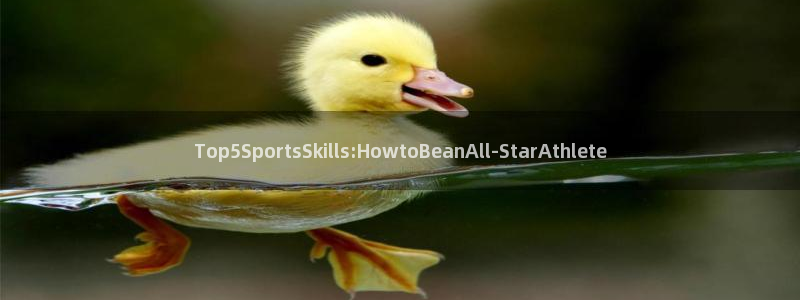 杏彩xc平台注册入口：Top5SportsSkills:HowtoBeanAll-StarAthlete