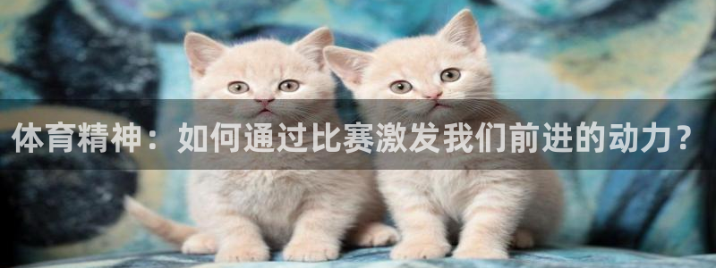 xc环境是什么意思：体育精神：如何通过比赛激发我们前进的动力？