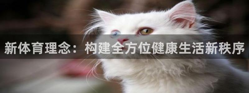 沃尔沃xc 90：新体育理念：构建全方位健康生活新秩序