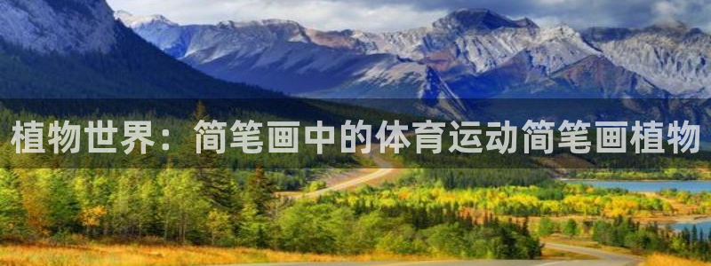 杏彩xc5注册：植物世界：简笔画中的体育运动简笔画植物