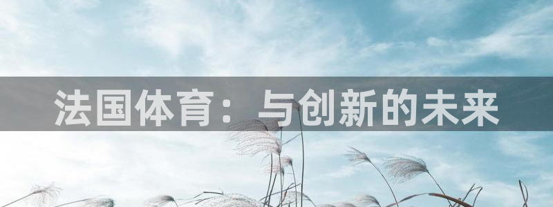杏彩xc2代理注册：法国体育：与创新的未来