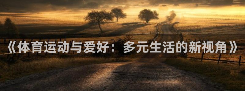xc95：《体育运动与爱好：多元生活的新视角》