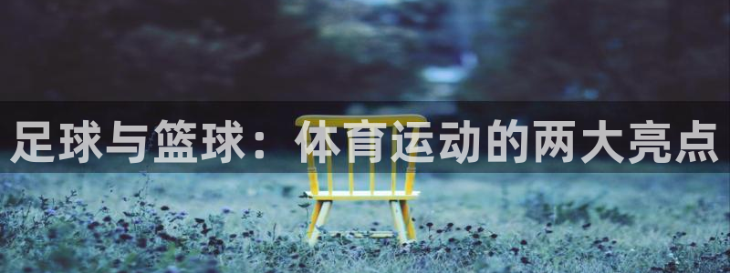 xc是什么地方：足球与篮球：体育运动的两大亮点