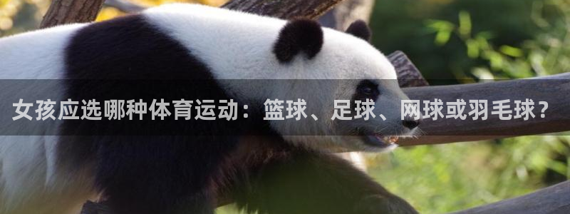xc2：女孩应选哪种体育运动：篮球、足球、网球或羽毛球？