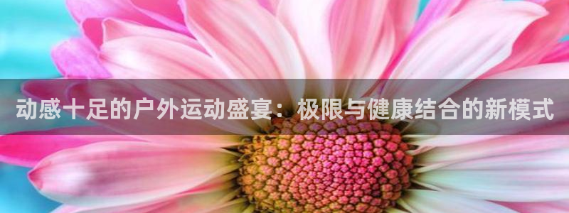 杏彩客户端：动感十足的户外运动盛宴：极限与健康结合的新模式