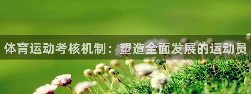 xc60 xc40 选择：体育运动考核机制：塑造全面发展的运动员