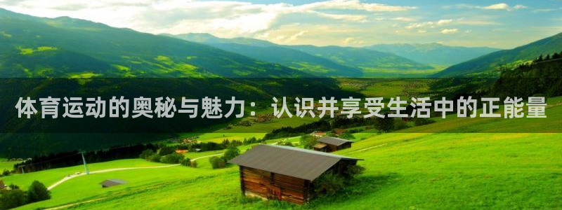 10年xc60：体育运动的奥秘与魅力：认识并享受生活中的正能量