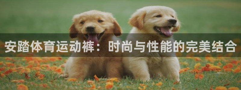 31xc：安踏体育运动裤：时尚与性能的完美结合