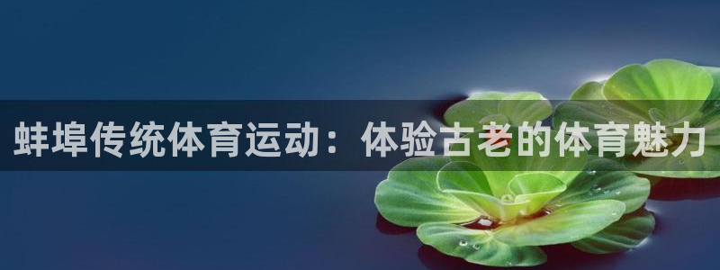 杏彩xc体育游戏：蚌埠传统体育运动：体验古老的体育魅力