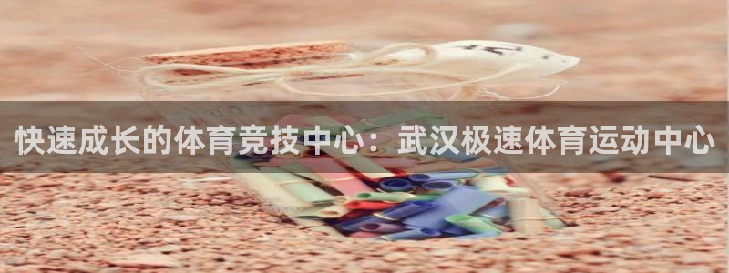 钢结构xc代表什么意思：快速成长的体育竞技中心：武汉极速体育运动中心