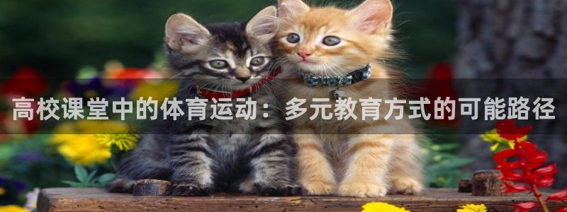 xc95144：高校课堂中的体育运动：多元教育方式的可能路径