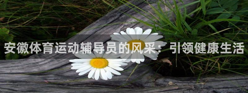 杏彩xc零能源集团：安徽体育运动辅导员的风采：引领健康生活