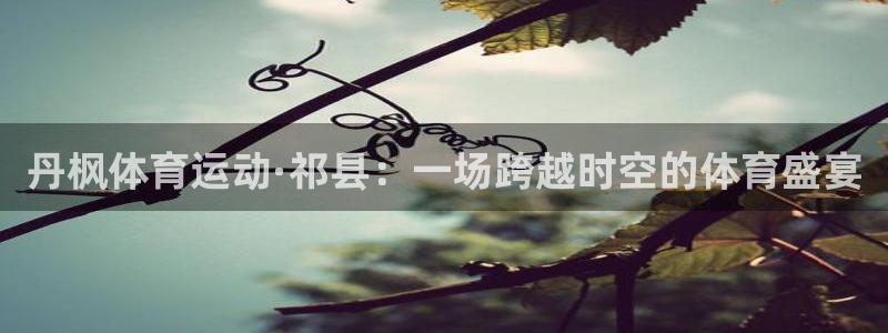 xc72gg：丹枫体育运动·祁县：一场跨越时空的体育盛宴