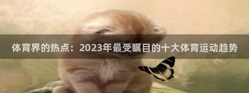 xc电脑是啥：体育界的热点：2023年最受瞩目的十大体育运动趋势