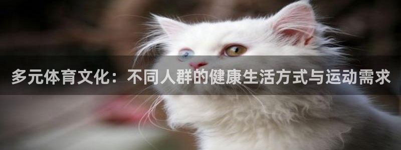 杏彩xc2登录入口：多元体育文化：不同人群的健康生活方式与运动需求