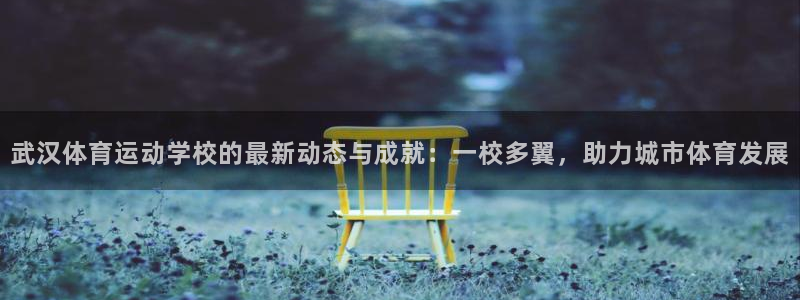 杏彩xc体育官网入口登录：武汉体育运动学校的最新动态与成就：一校多翼，助力城市体育发展