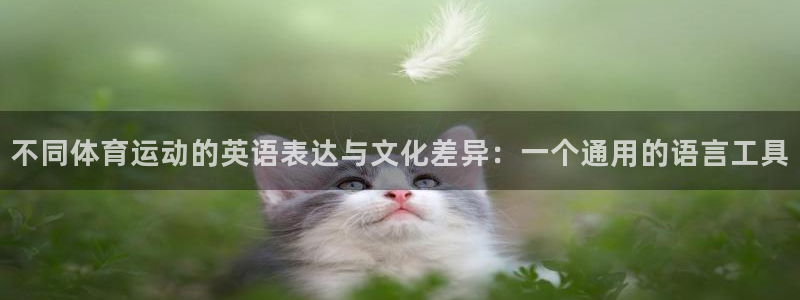 www.杏彩xc体育.com：不同体育运动的英语表达与文化差异：一个通用的语言工具