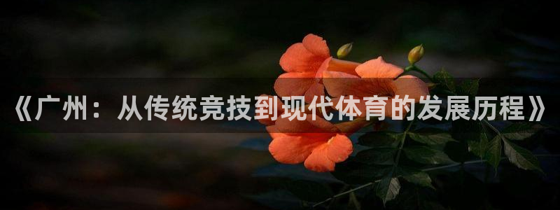 女人的xc是什么意思：《广州：从传统竞技到现代体育的发展历程》