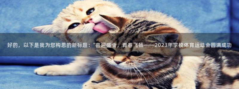 沃尔沃xc60有s档位吗：好的，以下是我为您构思的新标题：\