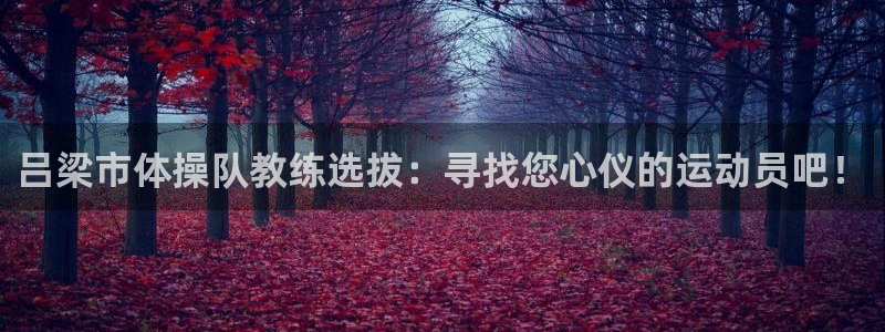 qywi.xc：吕梁市体操队教练选拔：寻找您心仪的运动员吧！