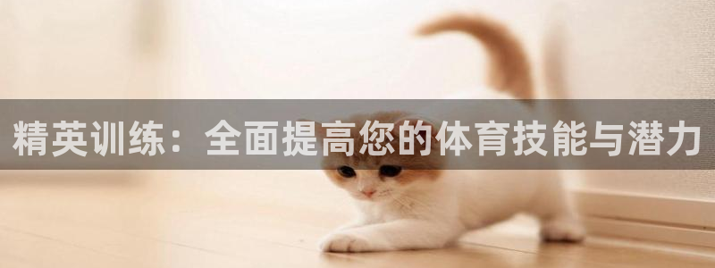 xc网络意思