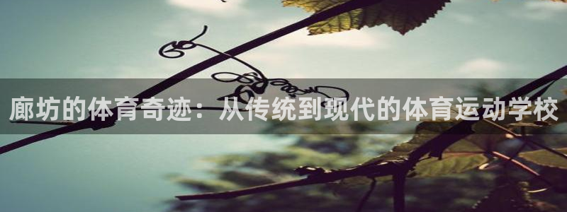 杏彩xc注册：廊坊的体育奇迹：从传统到现代的体育运动学校