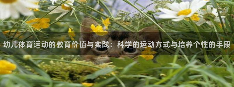 xc是哪里的车牌：幼儿体育运动的教育价值与实践：科学的运动方式与培养个性的手段