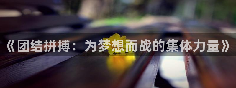 7xx.xc：《团结拼搏：为梦想而战的集体力量》