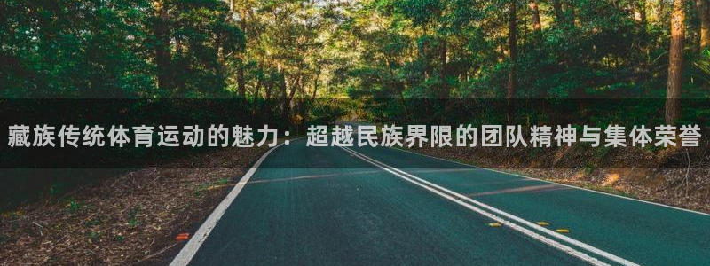 17c.xc：藏族传统体育运动的魅力：超越民族界限的团队精神与集体荣誉