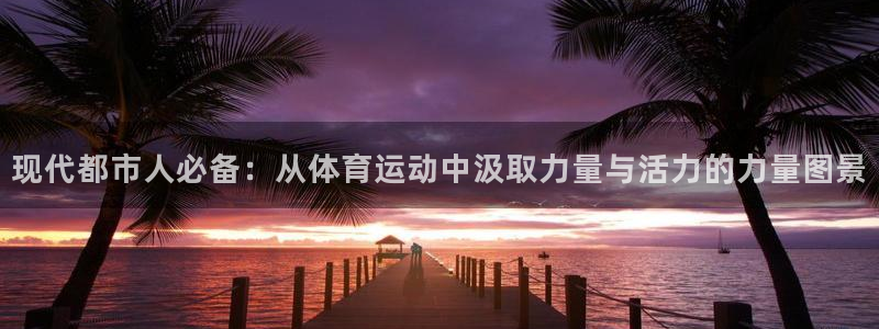 沃尔沃xc90各款：现代都市人必备：从体育运动中汲取力量与活力的力量图景