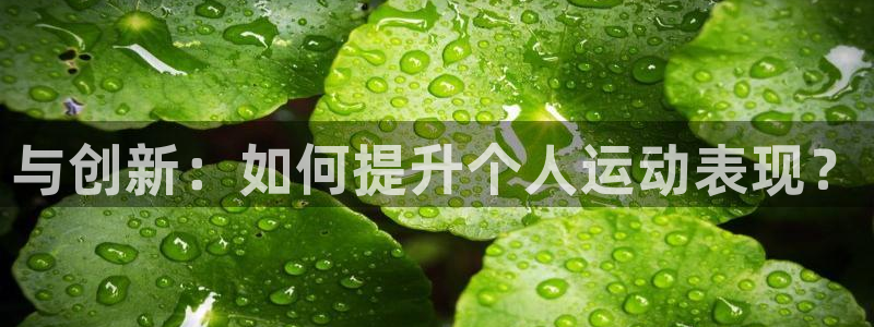 杏彩xc2代理注册：与创新：如何提升个人运动表现？