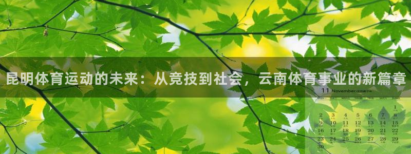 12xc：昆明体育运动的未来：从竞技到社会，云南体育事业的新篇章